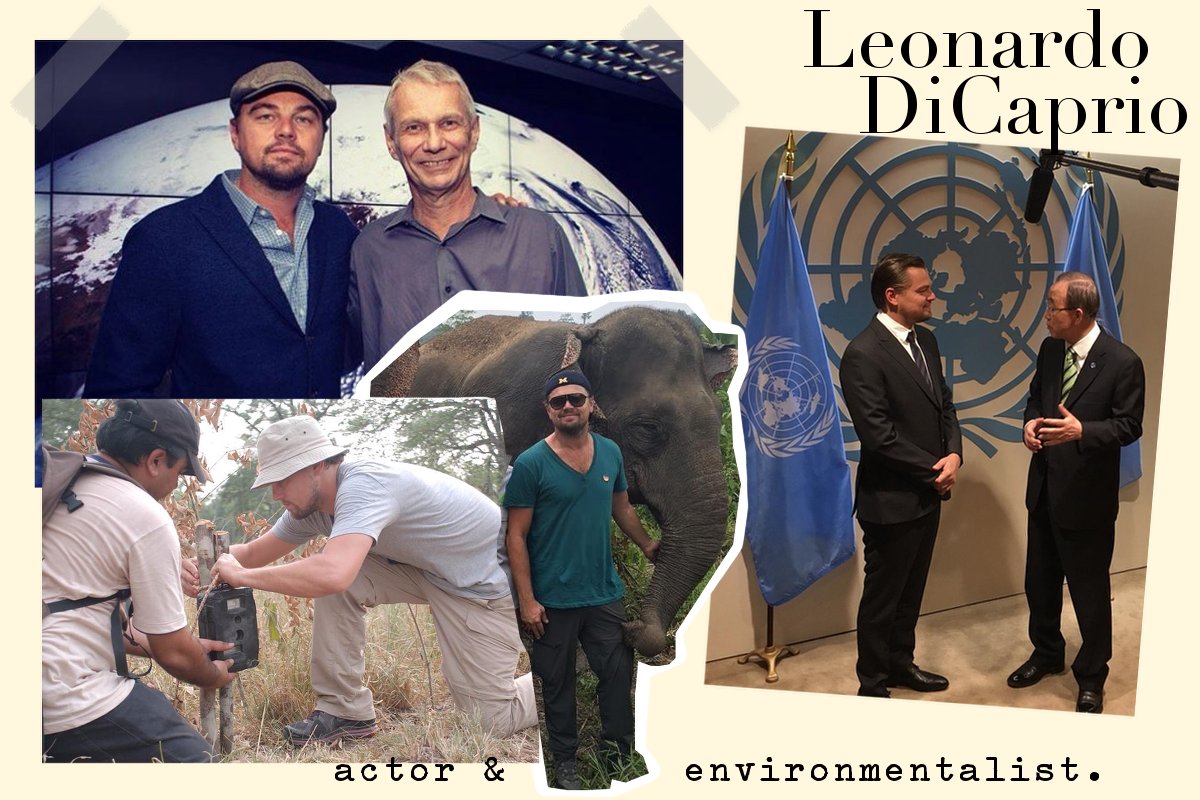 Leonardo DiCaprio-Umwelt-Naturschutz-Vanillaholica