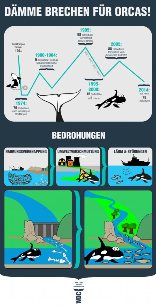 wdc_de_infografik_daemme_brechen_fuer_orcas