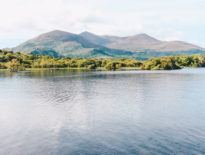 killarney-nationalpark-in-ireland-summer