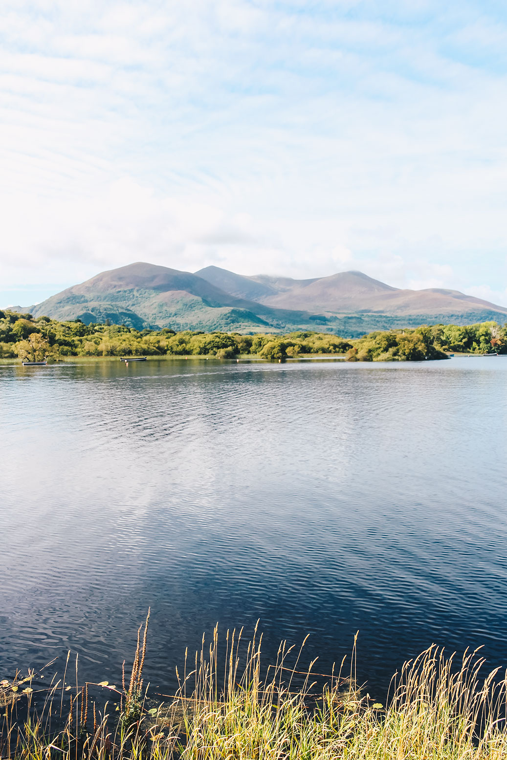 killarney-nationalpark-in-ireland-summer