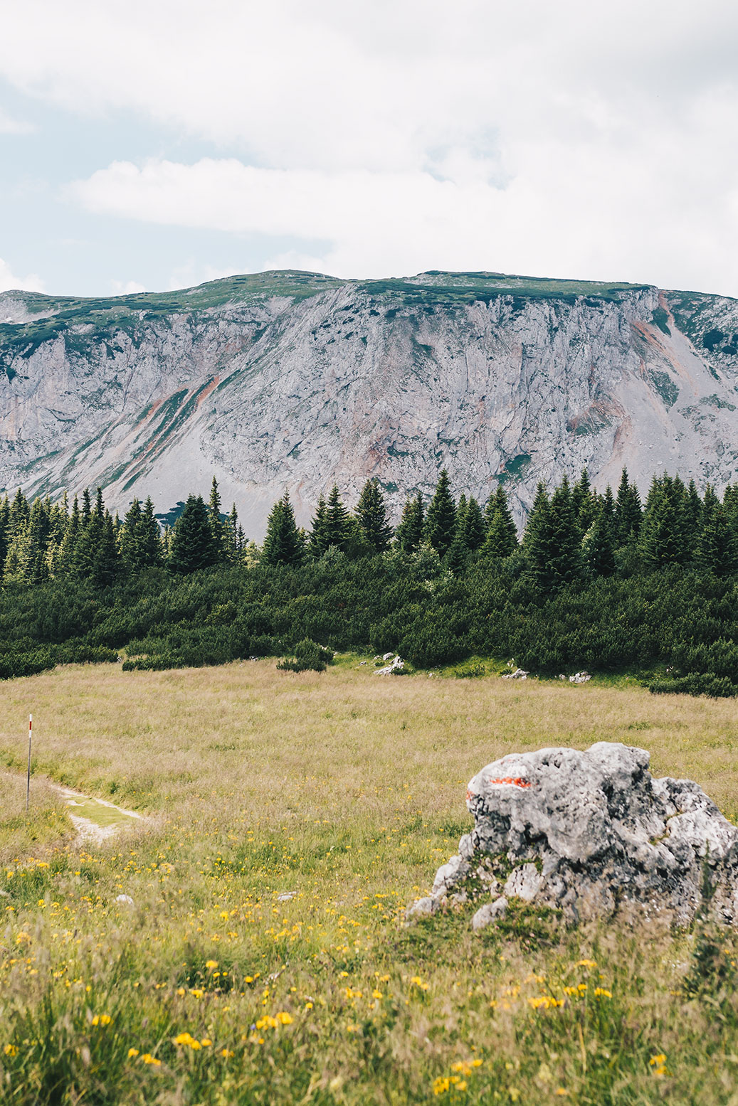 rax-wandern-gebierge-alpen-vanillaholica-reisen-österreich