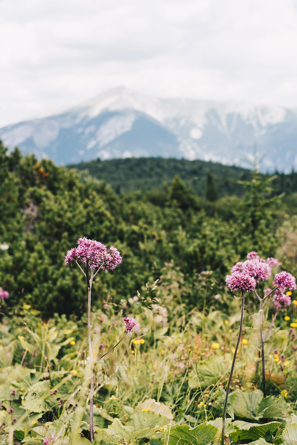 reisen-österreich-wandern-vanillaholica