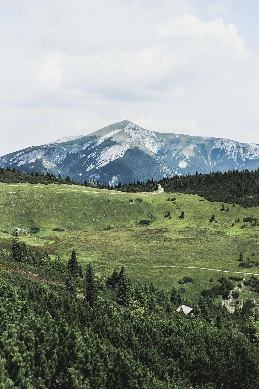 Rax Schneeberg wandern in Österreich