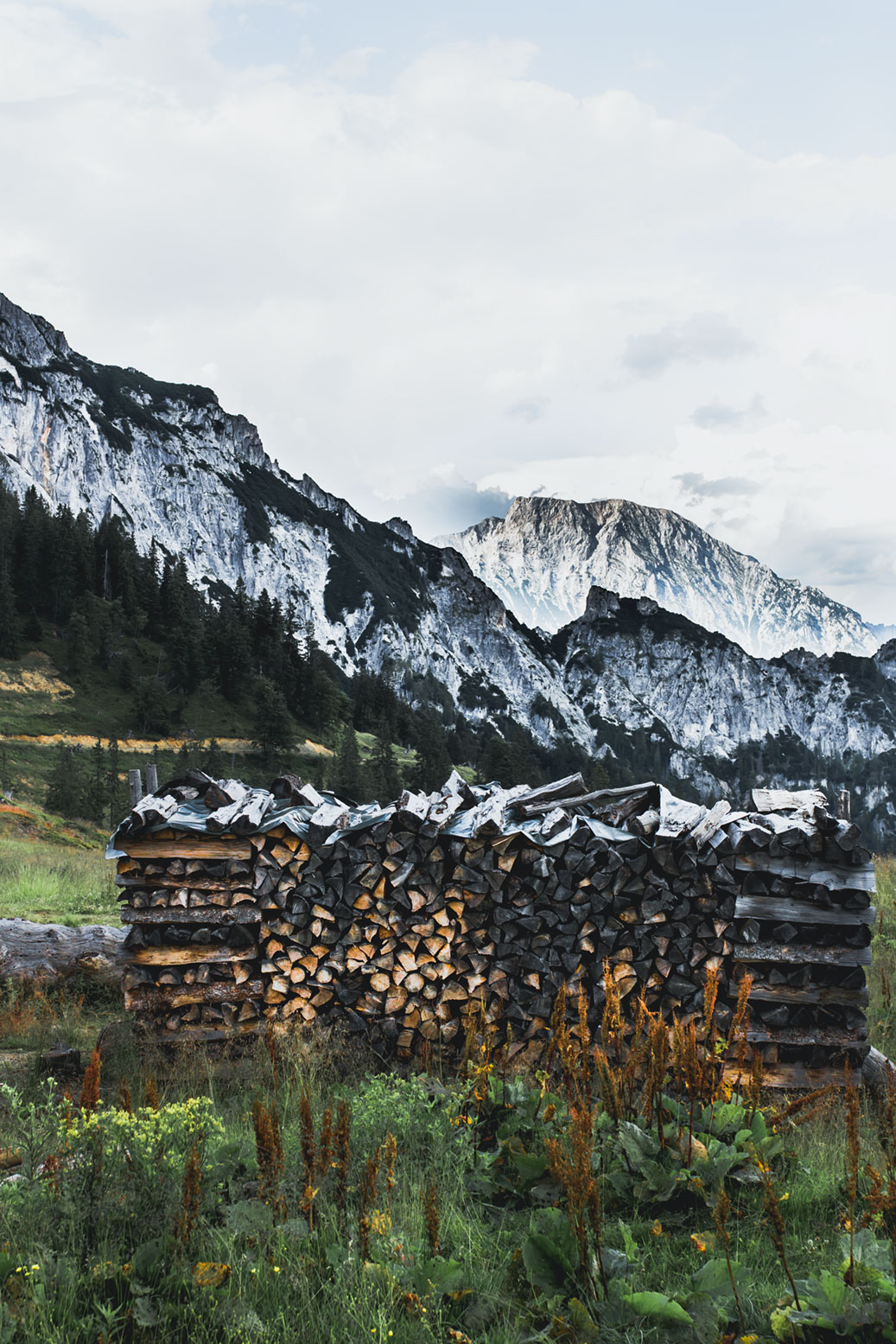 gesäuse-straße-molzbichler-hütte-natur